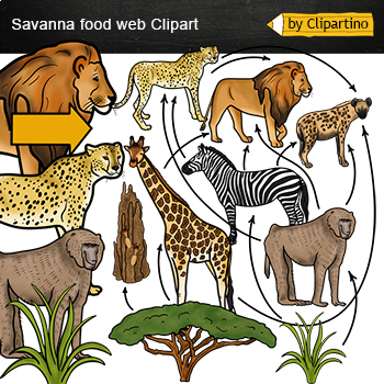 Preview of Savanna Grasslands Food Web Clip Art/ Food Chain Clip Art /Savanna animals