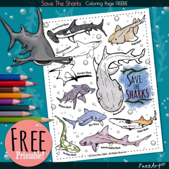 Preview of Save the Sharks Coloring Page FREEBIE, Free Printable, Digital Download