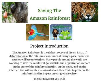 The Amazon Rainforest Worksheets Teaching Resources Tpt