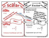 Scalar vs Vector Graphic Organizer