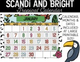 Scandi and Bright Tropical Calendar