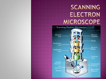 Preview of Scanning Electron Microscopes