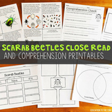 Scarab Beetles Close Read | Scarab Beetle Lifecycle