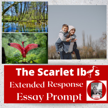 the scarlet ibis character analysis essay