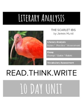 scarlet ibis literary analysis essay