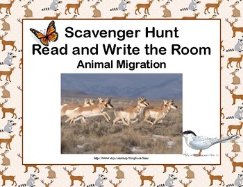 Preview of Scavenger Hunt-Animal Migration- Read and Write The Room