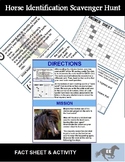 Scavenger Hunt (Horse Identification)