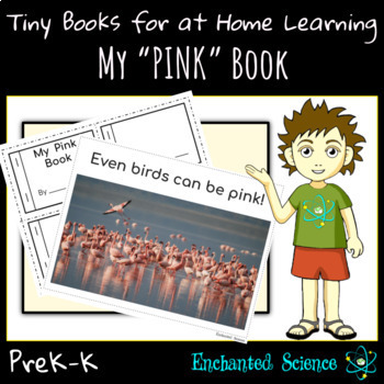 Preview of Scavenger Hunt for Distance Learning: Learning Colors-Summer Activities-Pink