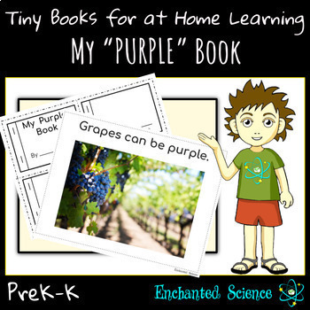 Preview of Scavenger Hunt for Distance Learning: Learning Colors-Summer Activities-Purple