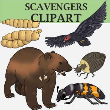 Preview of Animal Scavengers Clip Art