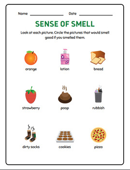 Preview of Free Scent-sational Circles: Smell-Test Worksheet