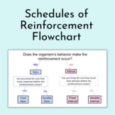 Schedules of Reinforcement Flowchart