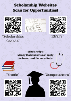 Preview of Scholarship Websites