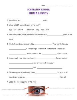 Preview of Scholastic Reader Human Body Worksheet