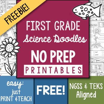 Preview of FREEBIE! NO-PREP First Grade Science Doodles Printables