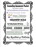 School Counselor Student Assessment Variety Pack