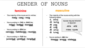 Preview of School Supplies, Indefinite Articles, Gender and Numbers of Nouns in Spanish