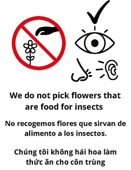 Preview of School garden rule signs, multicultural, languages, pictures, community garden