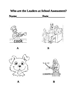 Preview of School leaders assessment