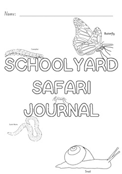 schoolyard safari assessment