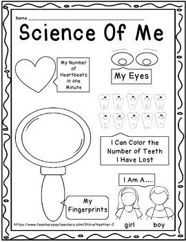Science About Me Activity by Heather J | Teachers Pay Teachers