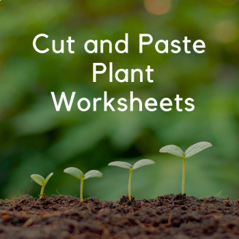 Preview of Science Activities Worksheets, Plant and Animal Sorting, Classifying Plants