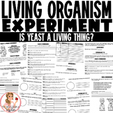 Living Organisms Science Experiment | Is Yeast a Living Thing?