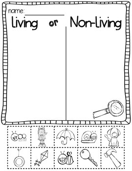 science activities for kindergarten living and nonliving