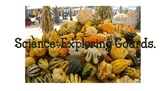 Science Activity: Fall Gourds