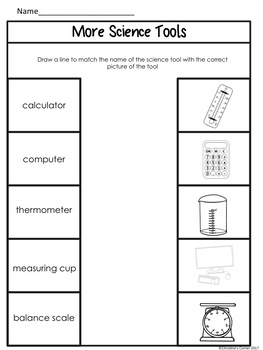 Science Anchor Charts Posters 1st 2nd 3rd Grade worksheets printables