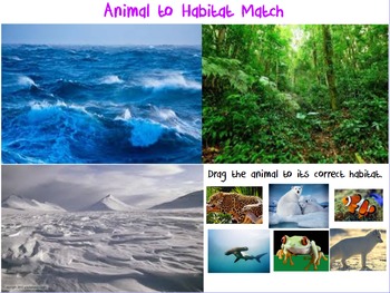 Preview of Science: Animal Habitats
