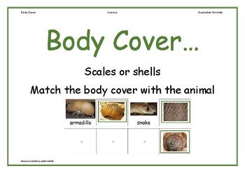 Preview of Science Animal body cover  Scales or Shells