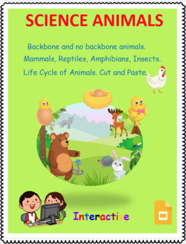 Science Animals Backbones Amphibians Mammals Reptiles Insects Life Cycle  Slides