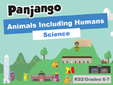Science - Animals Including Humans - Careers PowerPoint Ch
