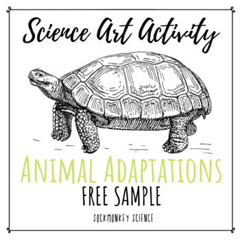 Preview of Science + Art Activity: Structure and Function {Animal Adaptations FREEBIE}