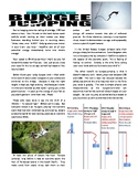 Sports & Science Article - Bungee Jumping (No Prep / Force