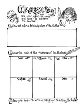 science assessment activities level 4 inquiry process skills tpt