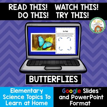 Preview of Science At Home:  Butterflies (Distance Learning)