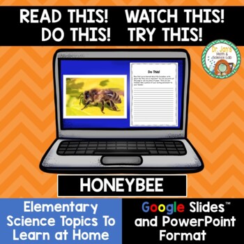 Preview of Science At Home:  Honeybees (Distance Learning)