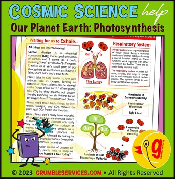 Preview of Our Planet Earth: Photosynthesis & Our Resperatory System - Chemical Reactions