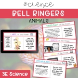 Science Bell Ringers - Animals