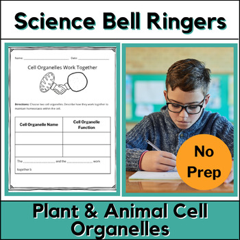 Preview of Science Bell Ringers - Middle School - Plant and Animal Cells - Cell Organelles