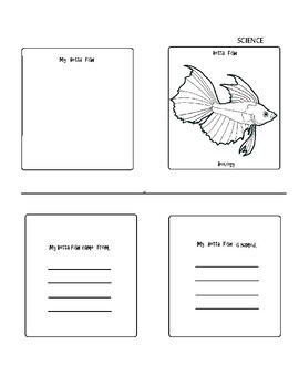 Preview of Science (Betta Fish Booklet)