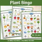 Science Bingo Game Plant Structures Vocabulary Game