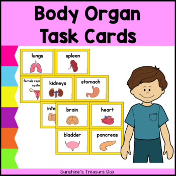 Preview of Science & Biology Body Organs Flash Cards  | Human Body Organs Task Cards