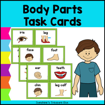 Preview of Science & Biology Body Parts Flash Cards | Human Body Parts Task Cards