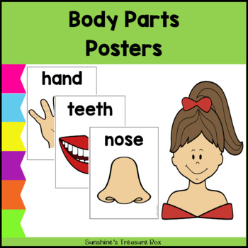Preview of Science & Biology Human Body Parts Posters |  Body Parts Posters