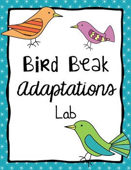 Preview of Science - Bird Beaks Adaptations Lab