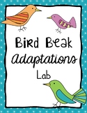 Science - Bird Beaks Adaptations Lab