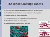 (FREE) Blood Power Point: Red & White Cells, Platelets, Cl